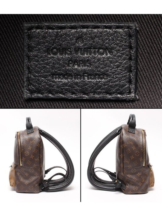 Louis Vuitton Backpack Palm Springs PM Monogram main image 9